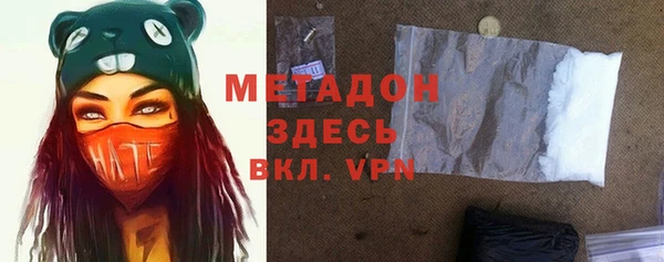 шишки Арсеньев