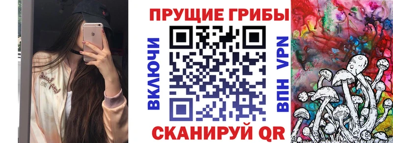 ссылка на мегу вход  купить наркотик  Новомосковск  Псилоцибиновые грибы Cubensis 