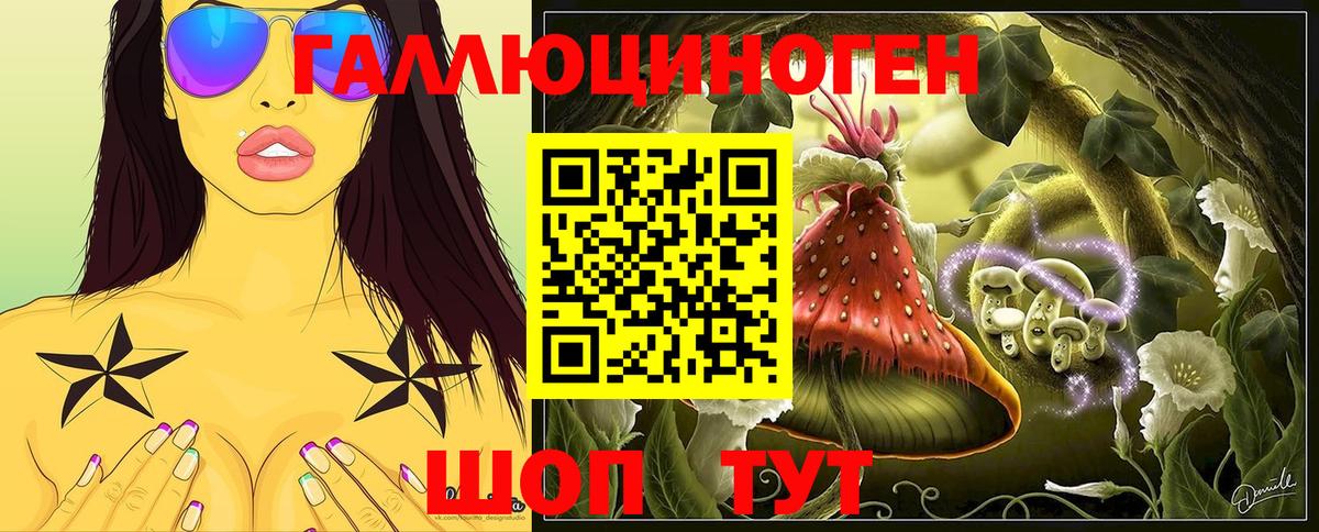 Новомосковск  наркота  Вход с VPN  Псилоцибиновые грибы Psilocybine cubensis 